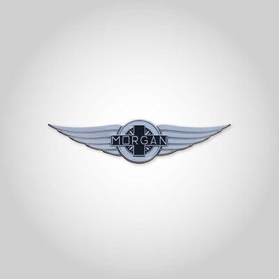 Curved Wings Badge